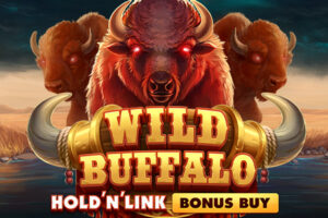 A unique identifier for the bonus features of Wild Buffalo Hold'N'Link.